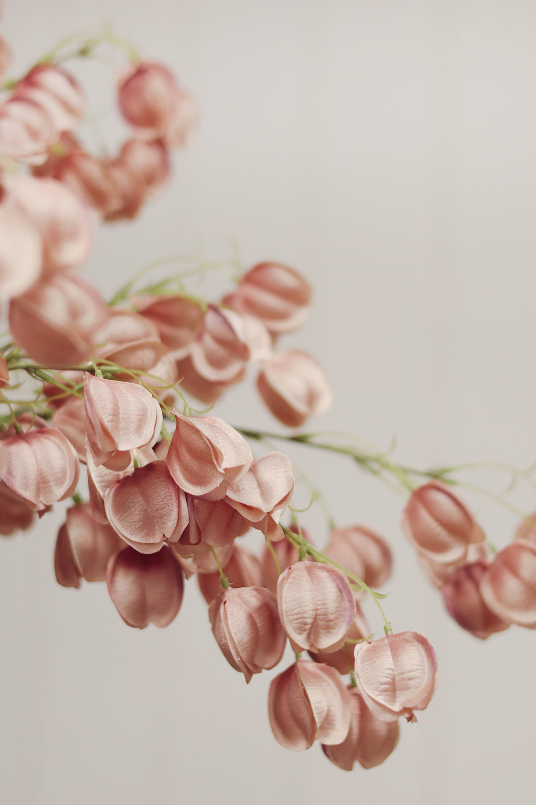 Lantern Flower Spray - Dusty Pink