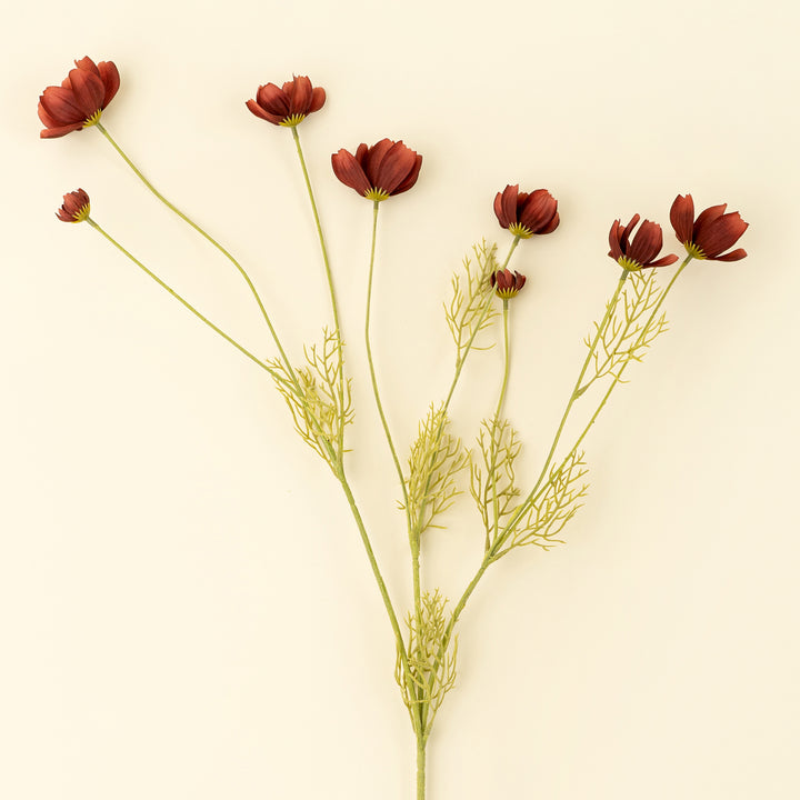 Calliopsis Spray - Rust Red