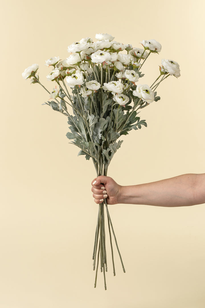Ranunculus Spray - White