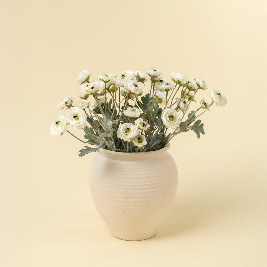 Ranunculus Spray - White