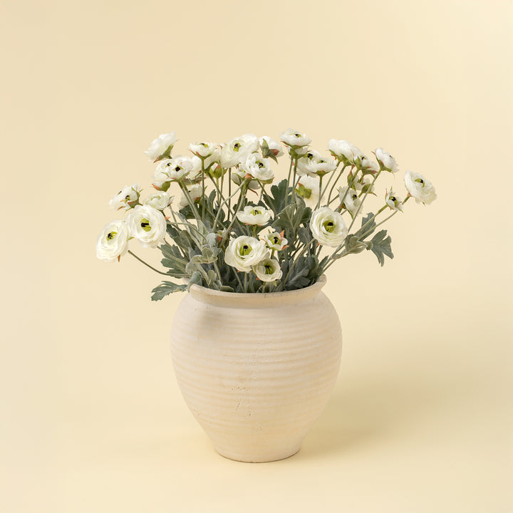Ranunculus Spray - White