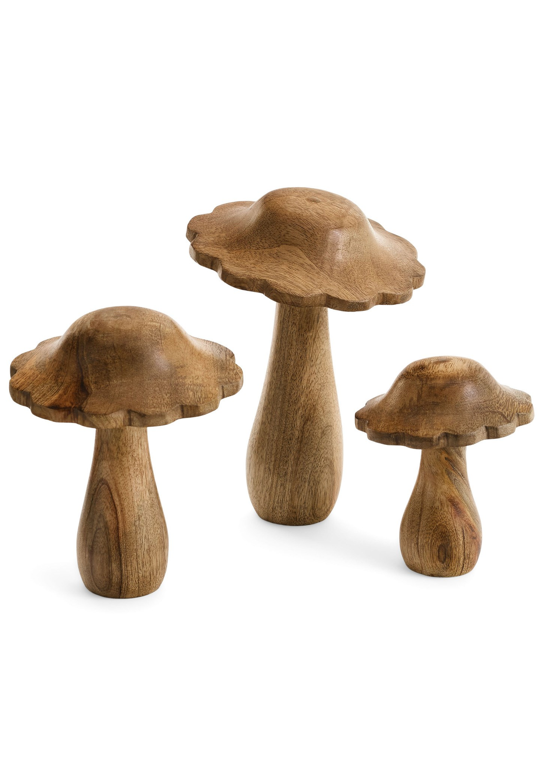 Scallop Edge Mushroom - Large