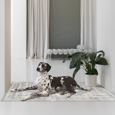 Savannah Cilantro Washable Rug
