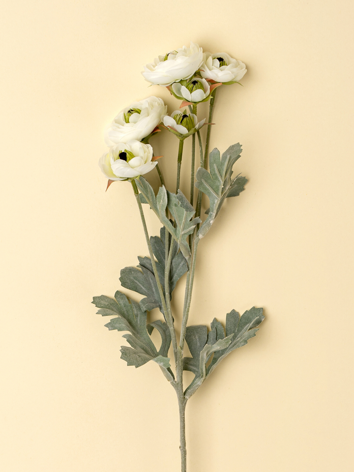Ranunculus Spray - White