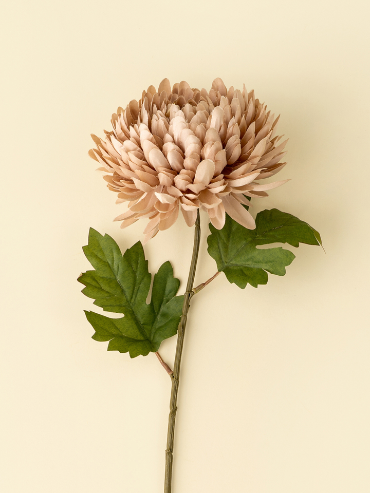 Chrysanthemum Spray - Dusty Pink