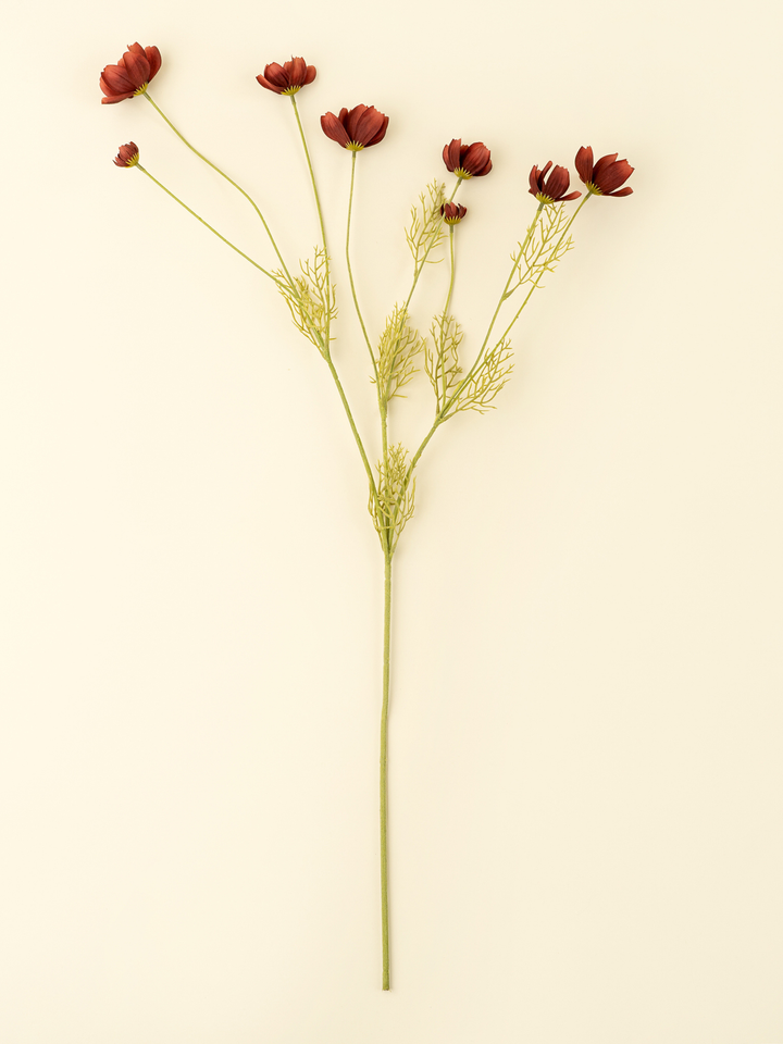 Calliopsis Spray - Rust Red