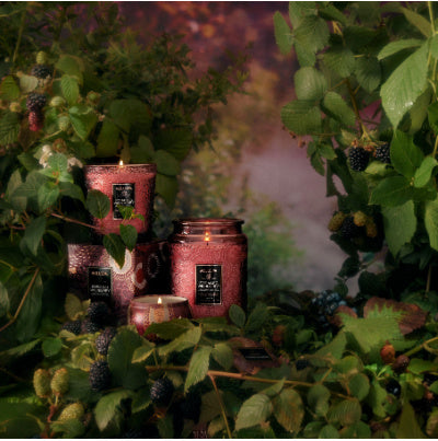 Voluspa Foraged Wildberry Classic Candle
