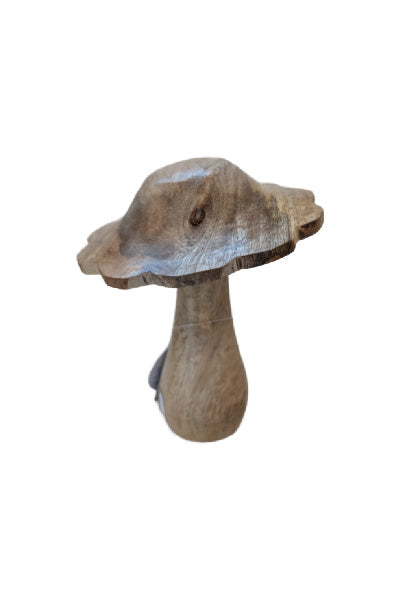 Scallop Edge Mushroom - Medium