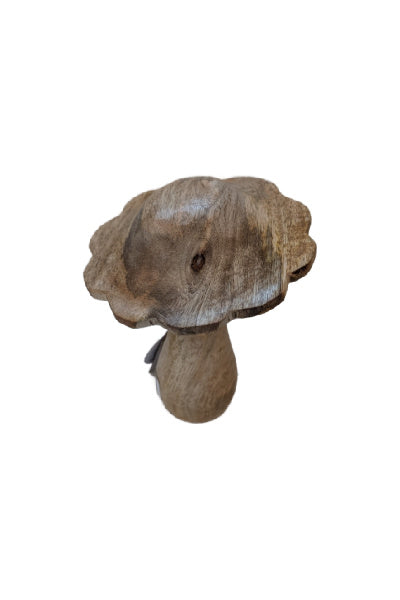 Scallop Edge Mushroom - Medium