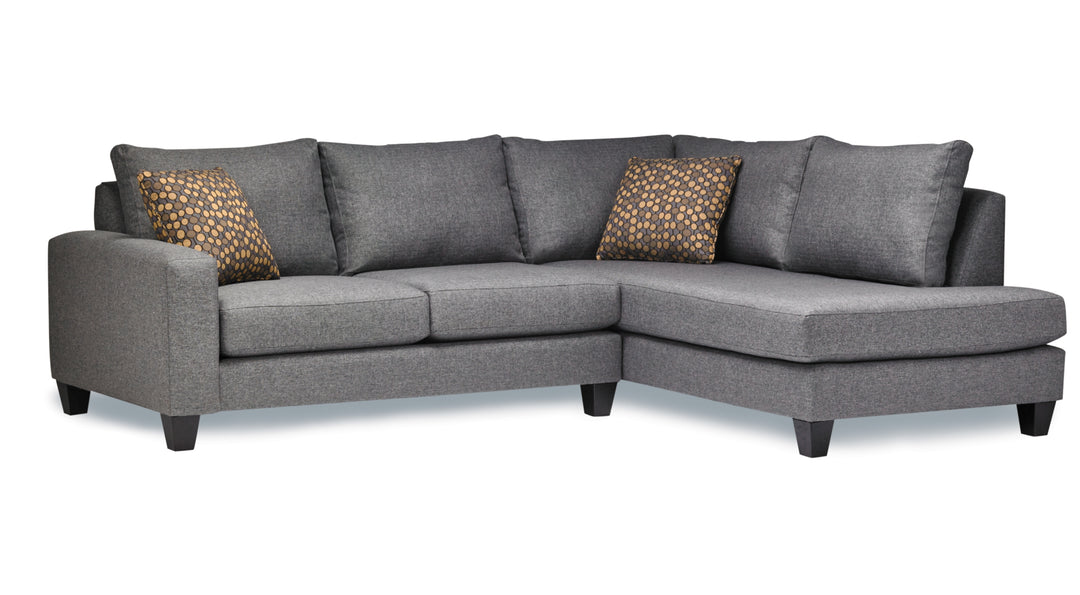 Bronx Collection - Sofa or Condo Sofa