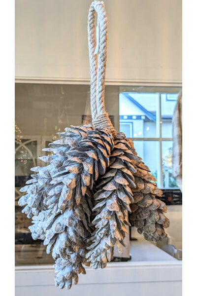 Dried Hanging Bunch of Pine Cones - White Tip
